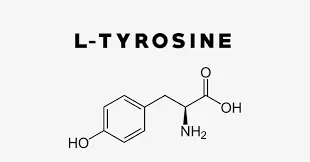 L-Tyrosine